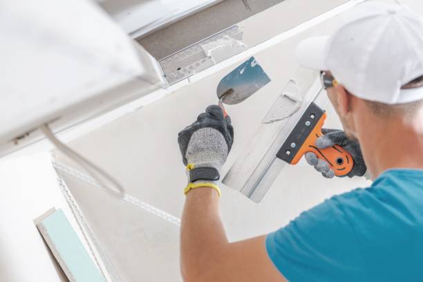 Mold Remediation for Rental Properties in Bear Valley Springs, CA